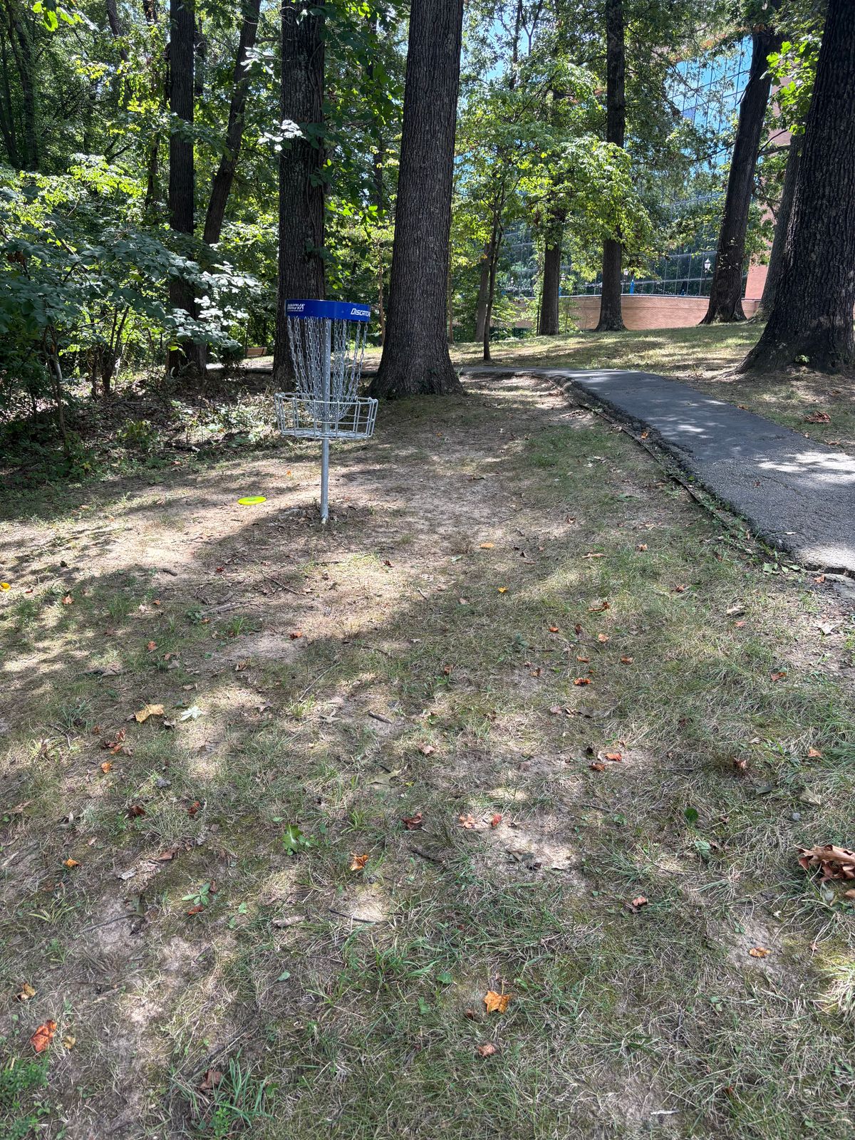 Best shot from the tee of my very amateur and short disc golf career.