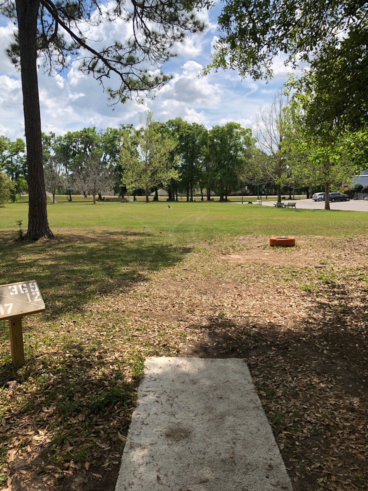 Hole 12, tee to basket
