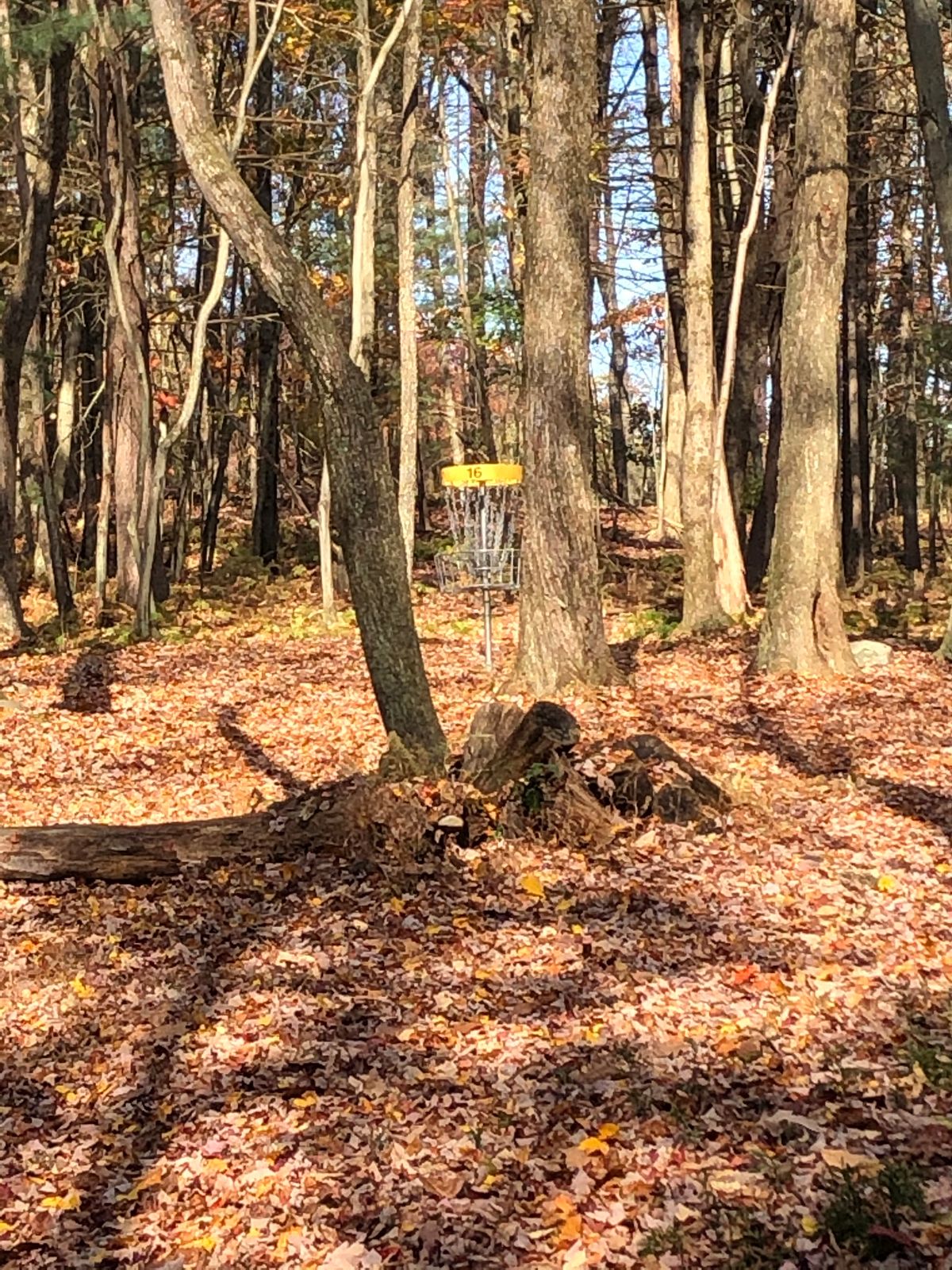 Beautiful course