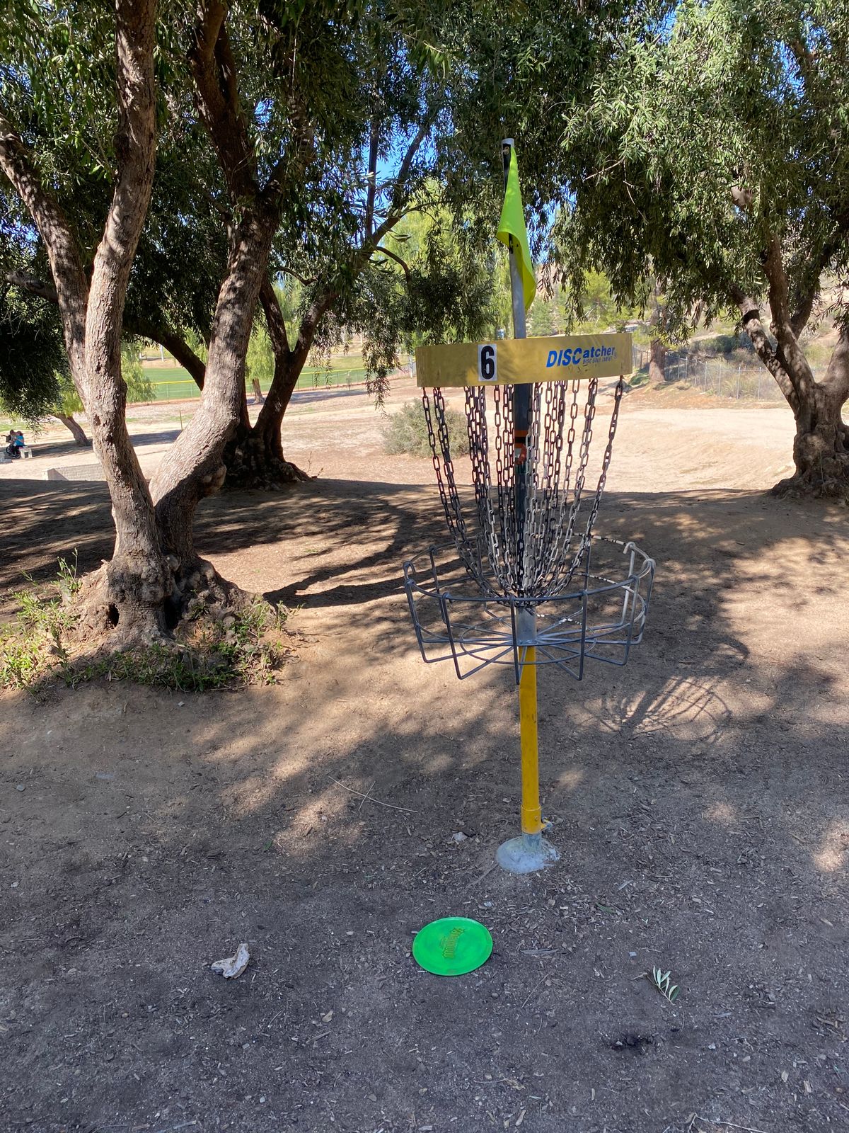Basket on hole 6