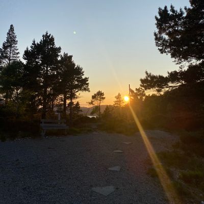 Turløype