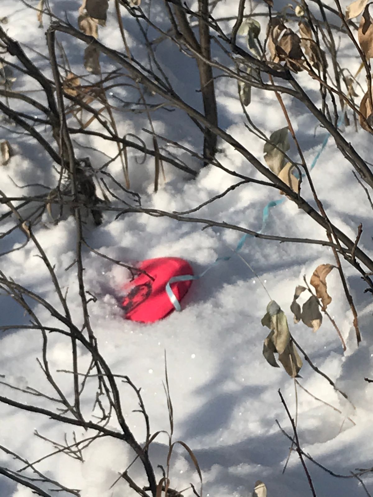 Ribbons are a must for winter disc golf here