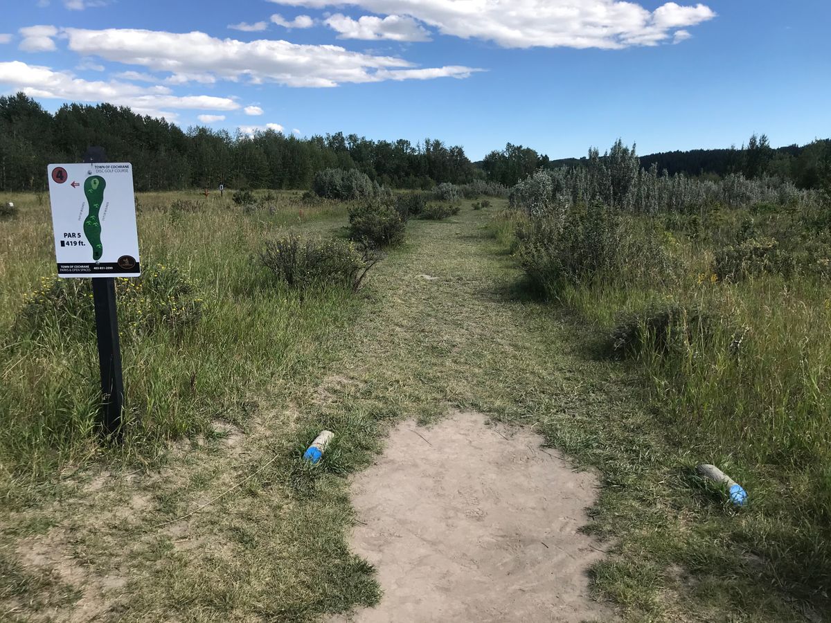 Hole 4 tee box