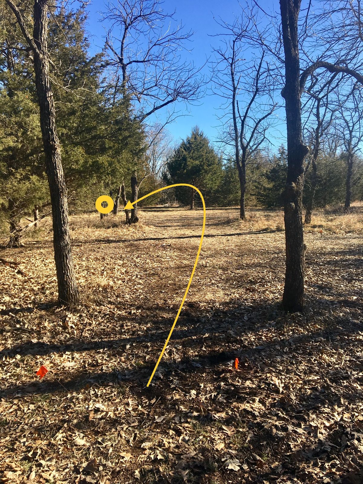 Hole 5 Tee
