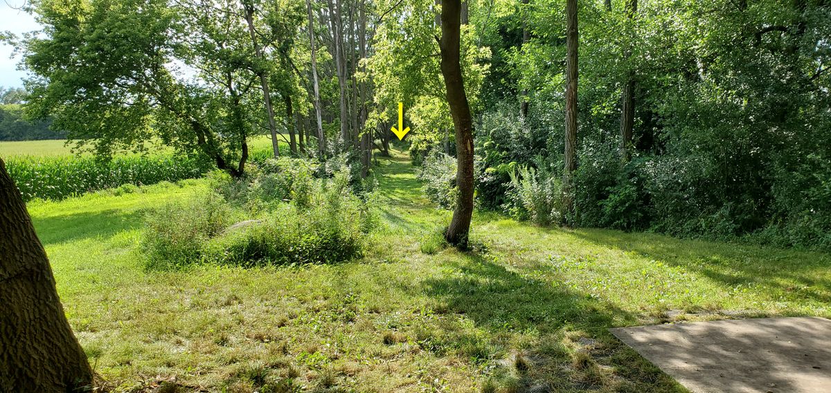 Just left of hole 15's tee off where you can see the basket.