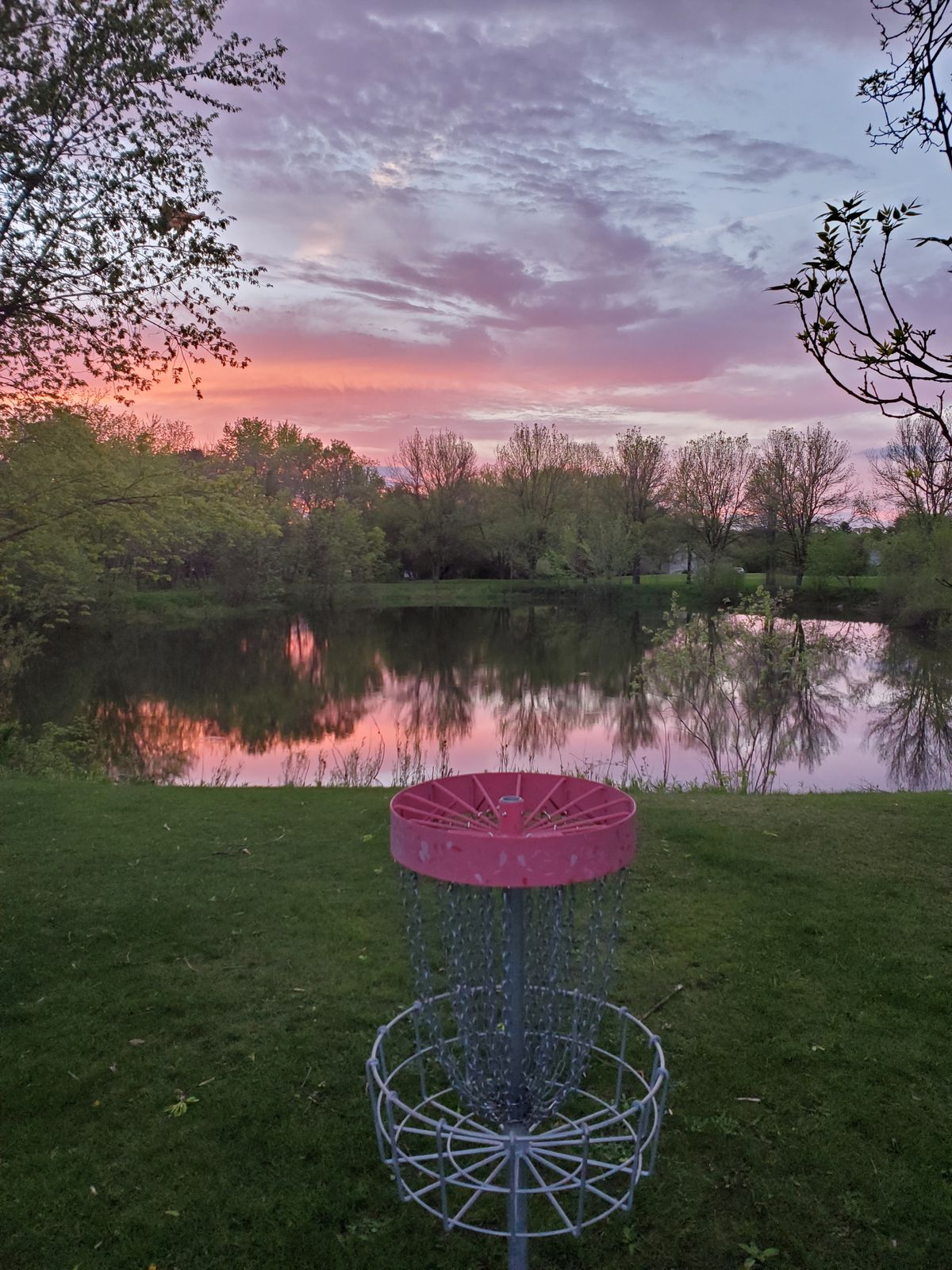 #9 basket sunset