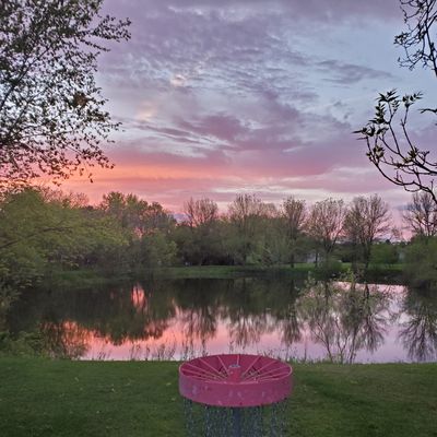 #9 basket sunset