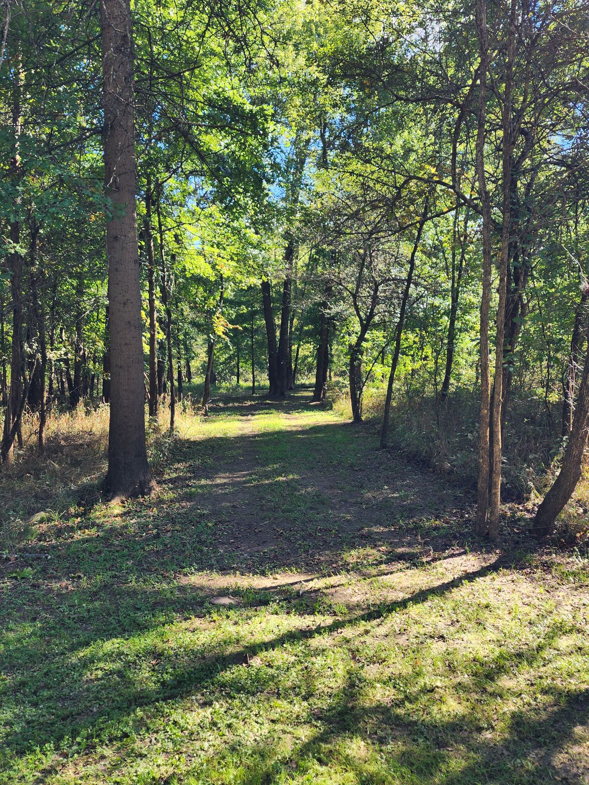 Fairway off the tee
