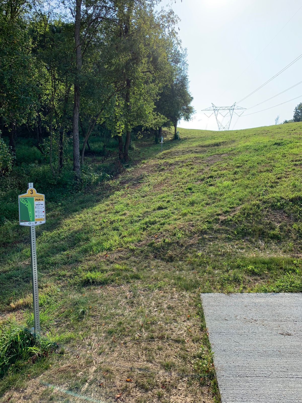 Hole 3 gold tee
