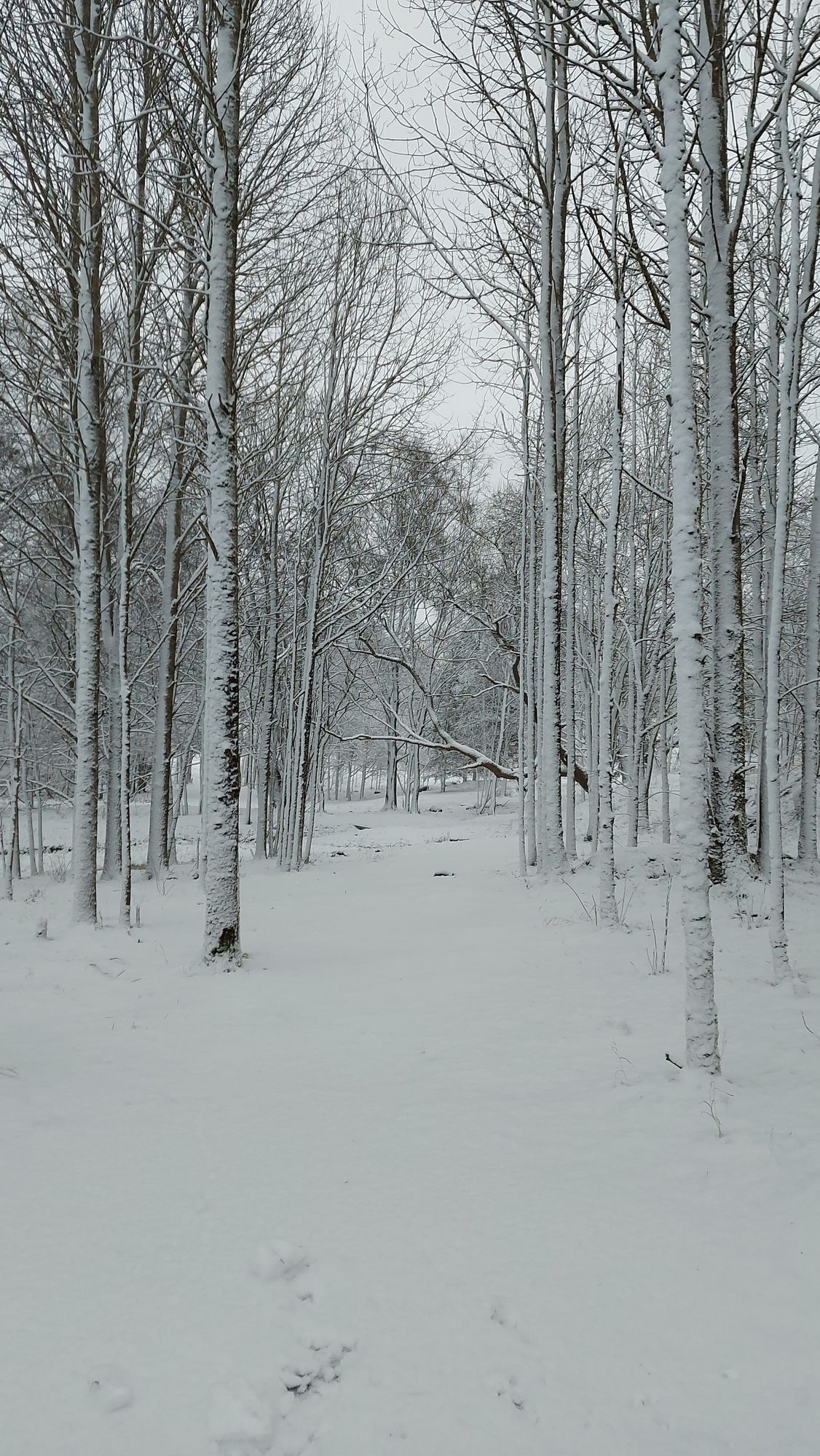 Winter Wonderland hole 1