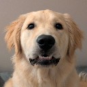 snagglesquatch