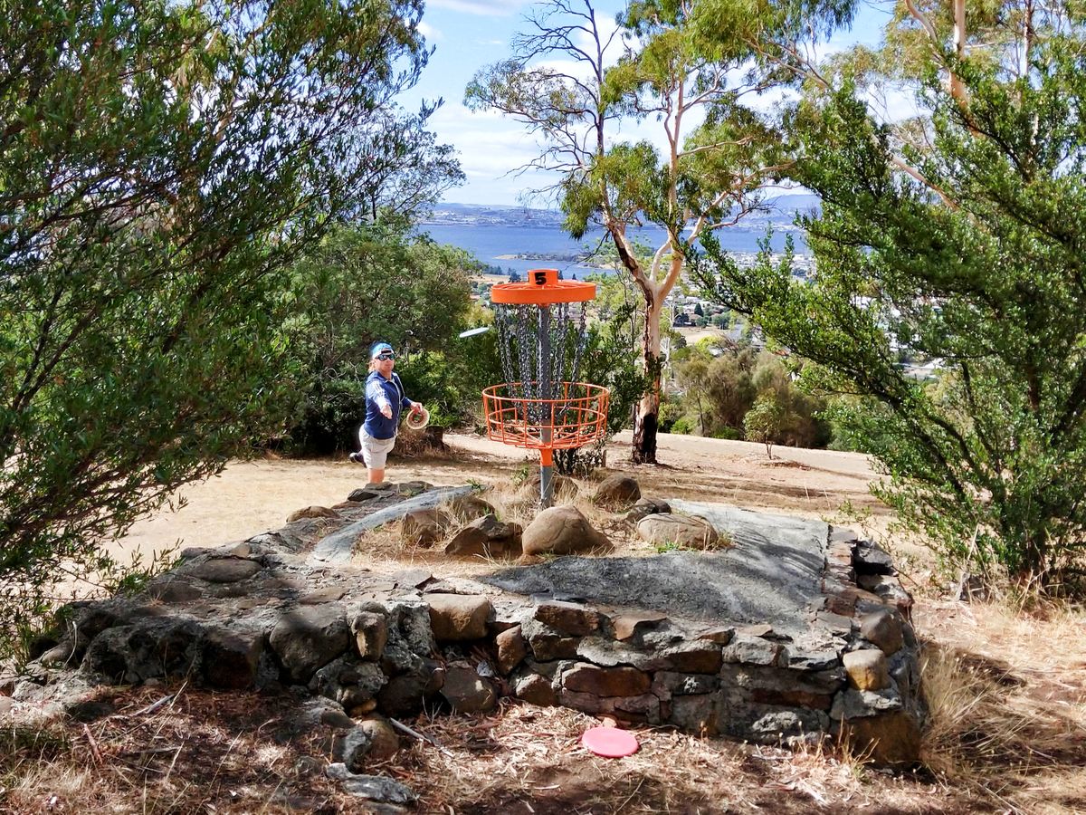 Hole 5 elevated basket