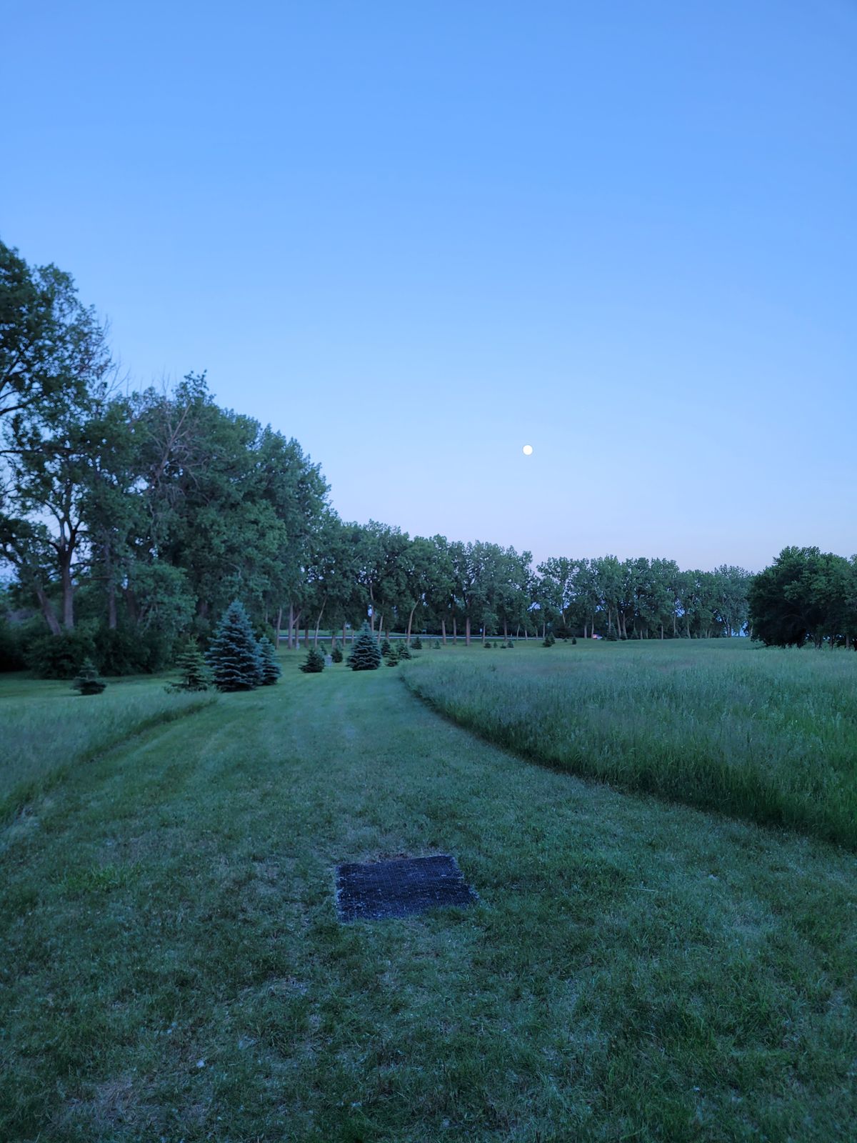 Hole 5 Teepad