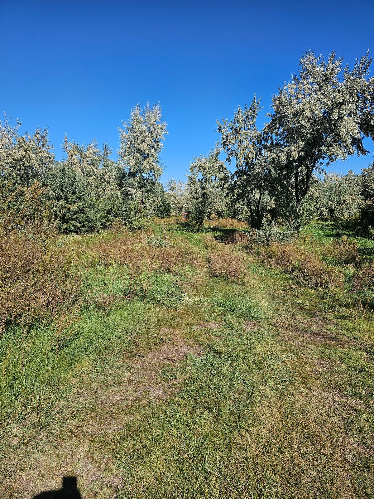 Hole 3 fairway 9/28/23