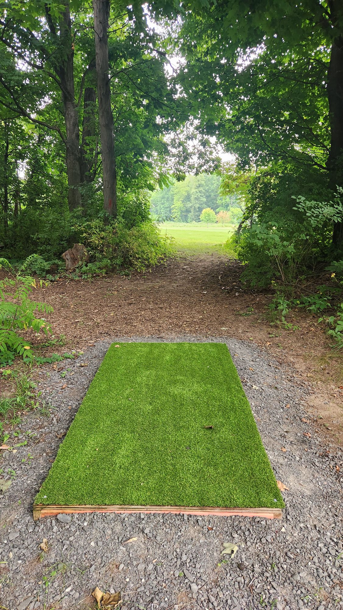 New artificial grass at tee pads.