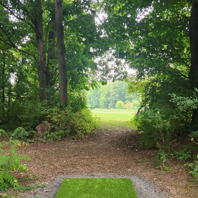 New artificial grass at tee pads.