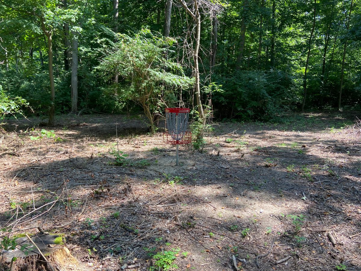 Hole 3 basket