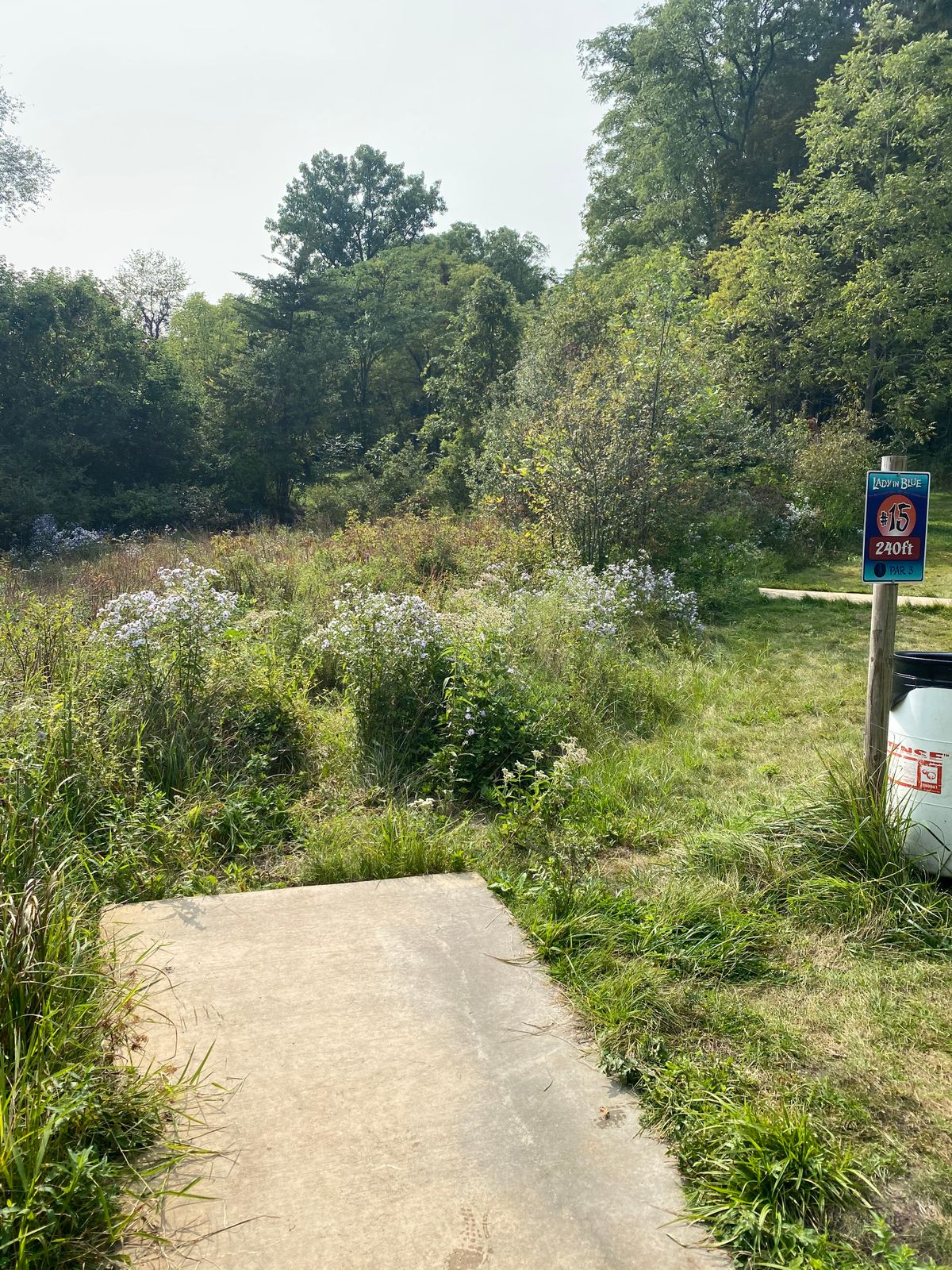 This is the worst hole on the entire course for losing your disc. Scope it out before you throw.