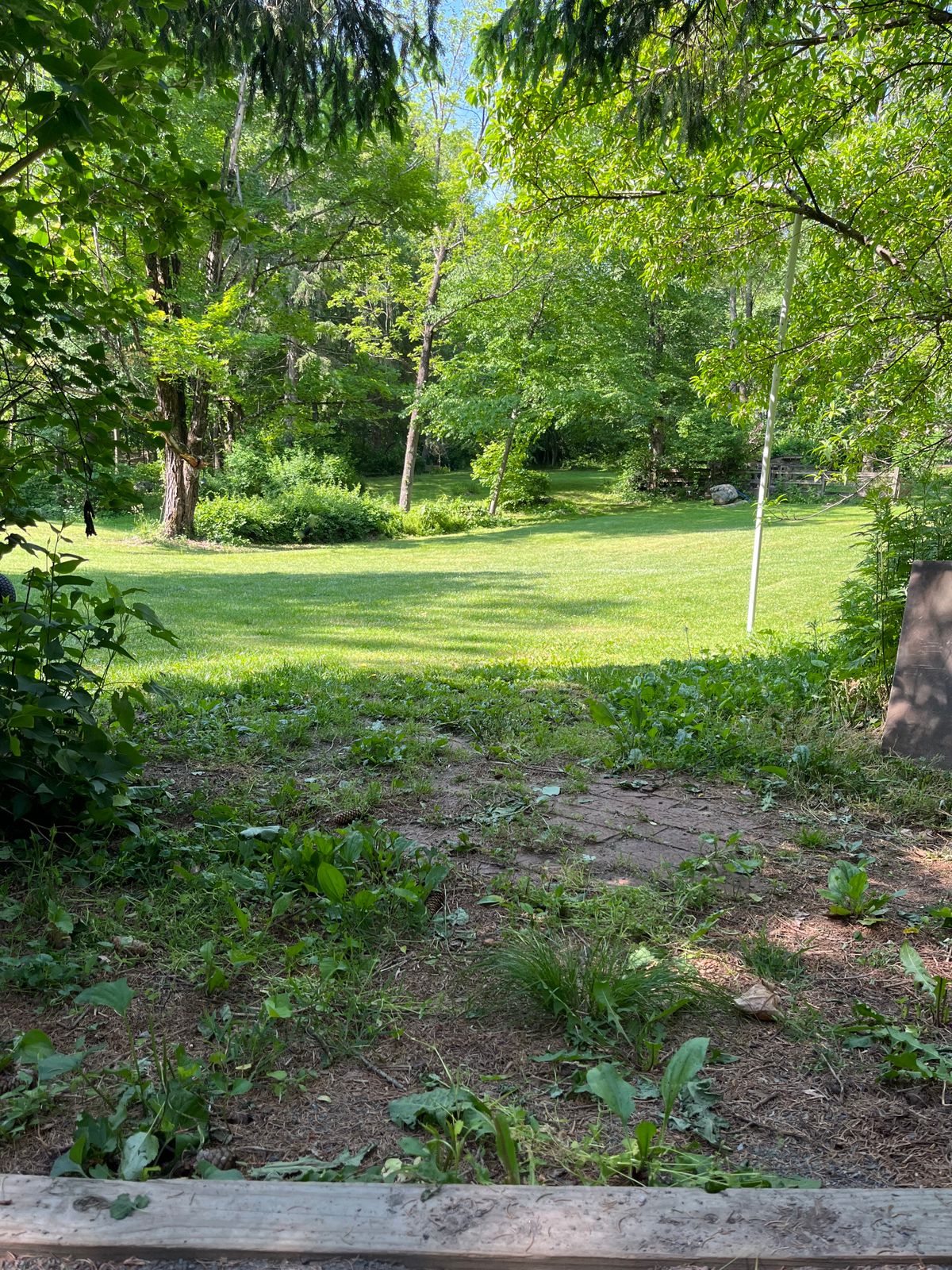 Hole 1 , low ceiling
