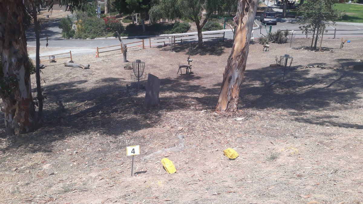 Hole 4