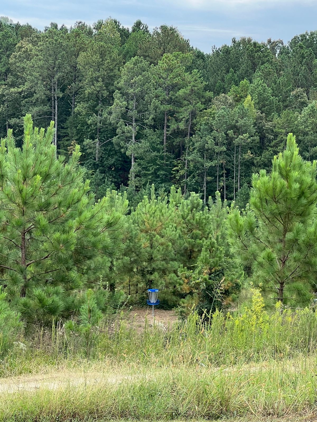 Hole 10