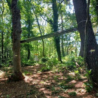 Sehr schöne Waldbahn 
mit Mando