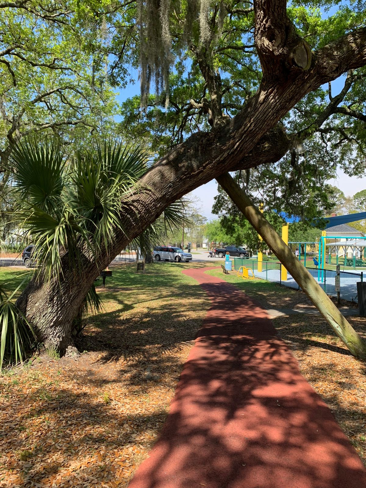 Path from parking lot to tee one; quite fascinating.
