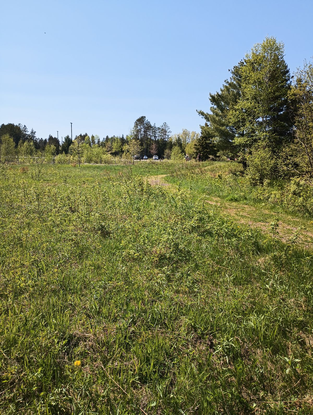 Fairway on one looking back at the tee