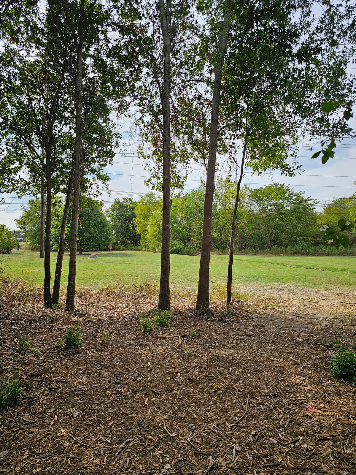 Hole 6 Approach