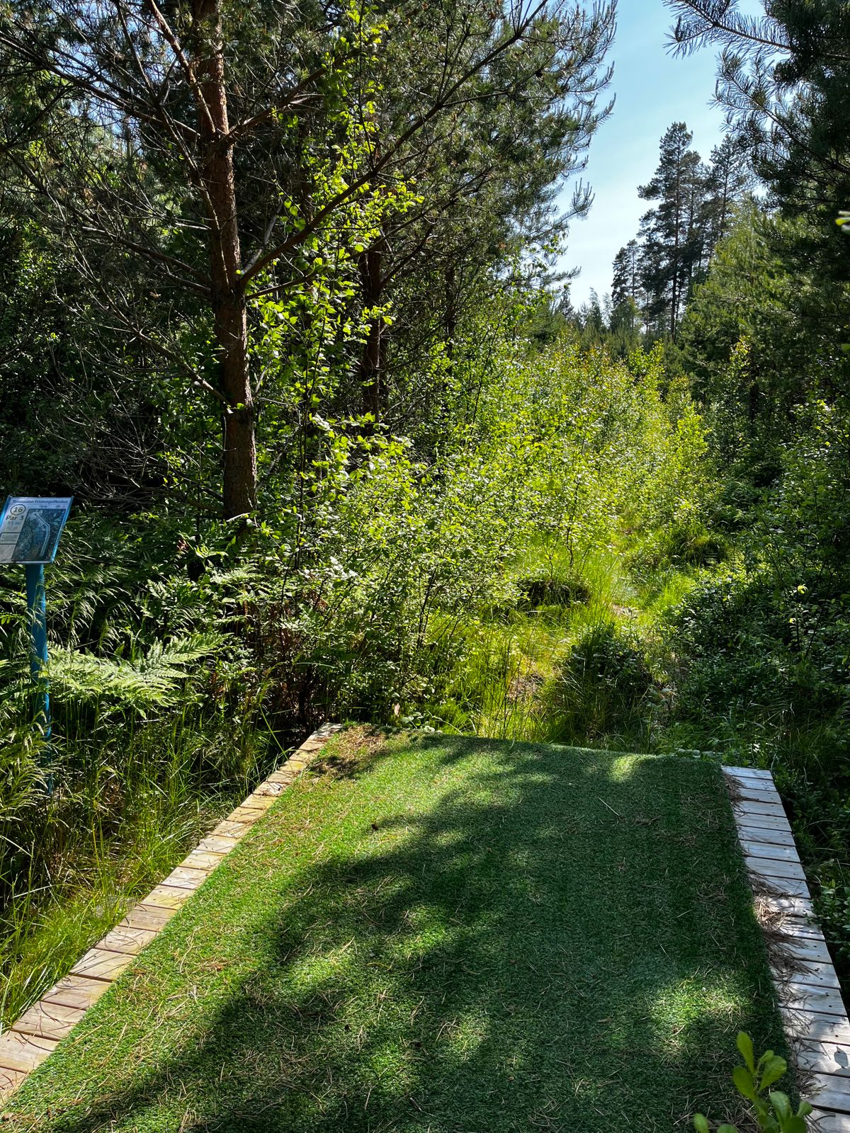 rata ihan perseestä