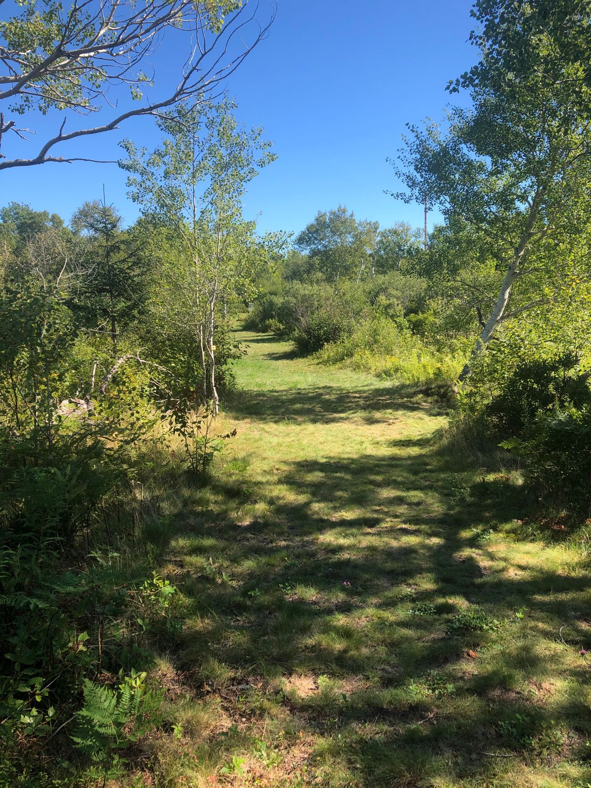 View from hole 7 tee, basket is to the right