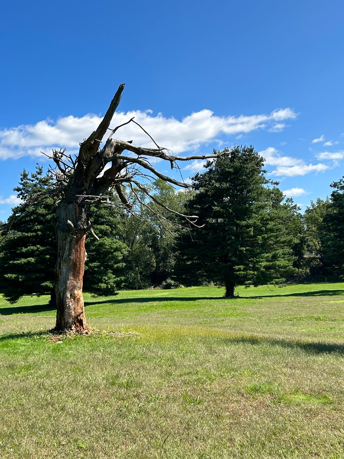 Hole 16