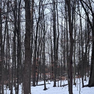 Hole 1 fairway and basket taken from the tee