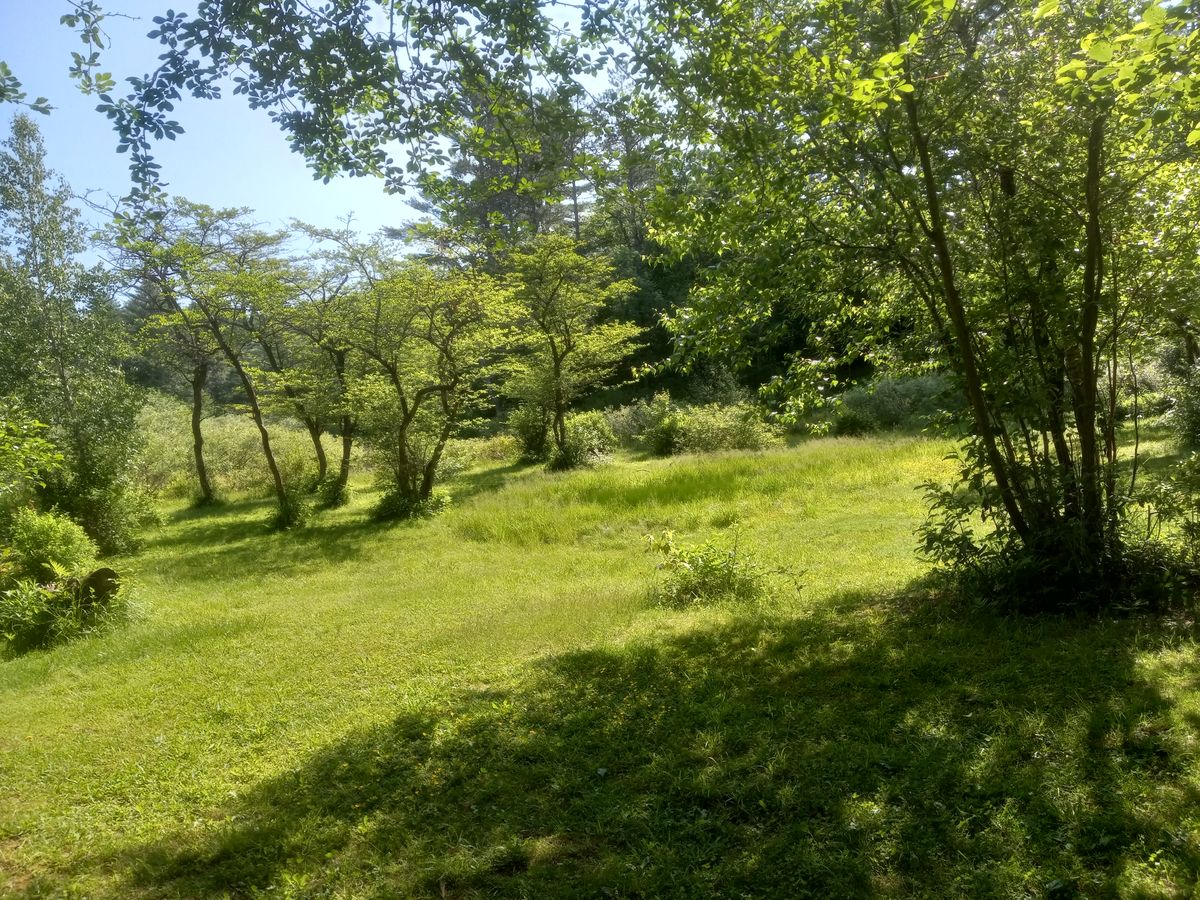 Hole 4 Fairway