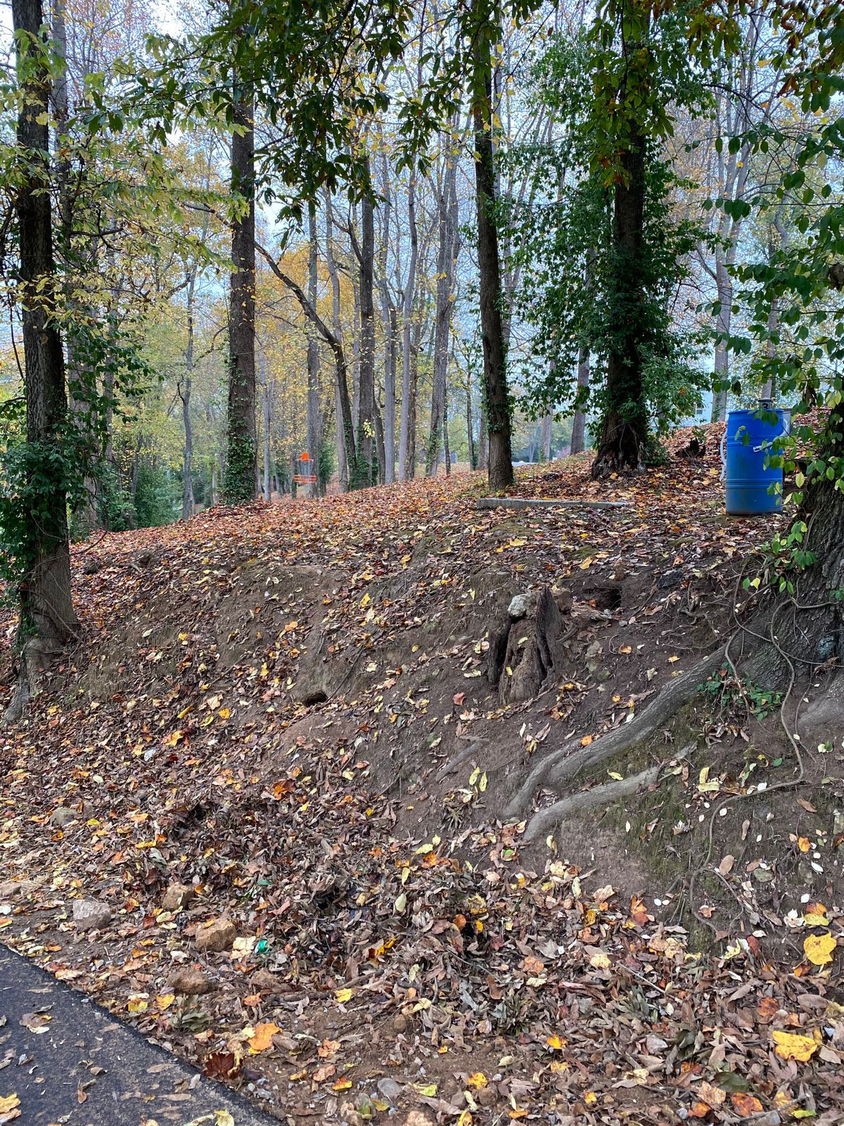 Looking up at the teepad for hole 3 from the walking path. Stairs come down the side of the hill.
