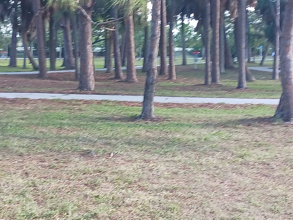 Hole 4 short pad
