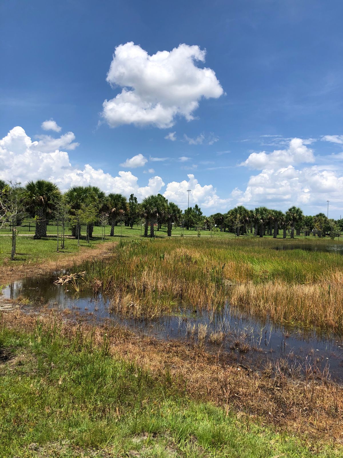 Hole 17