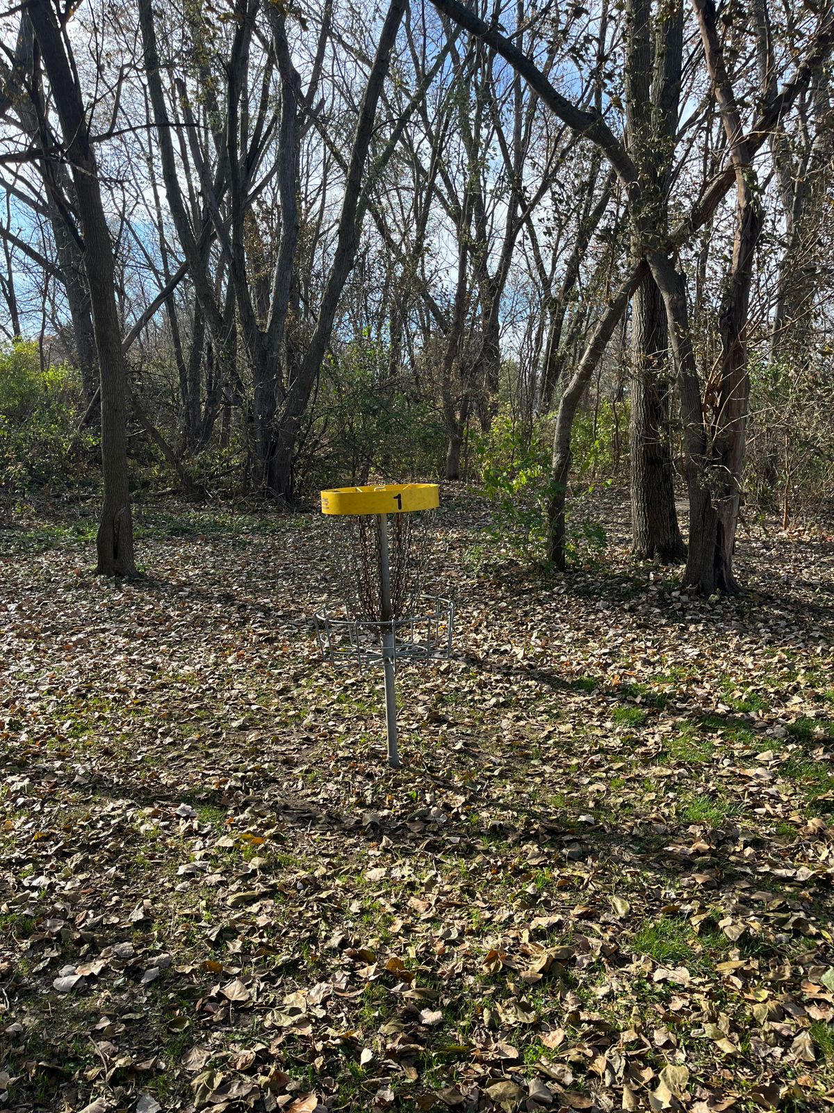 Hole 1 Basket