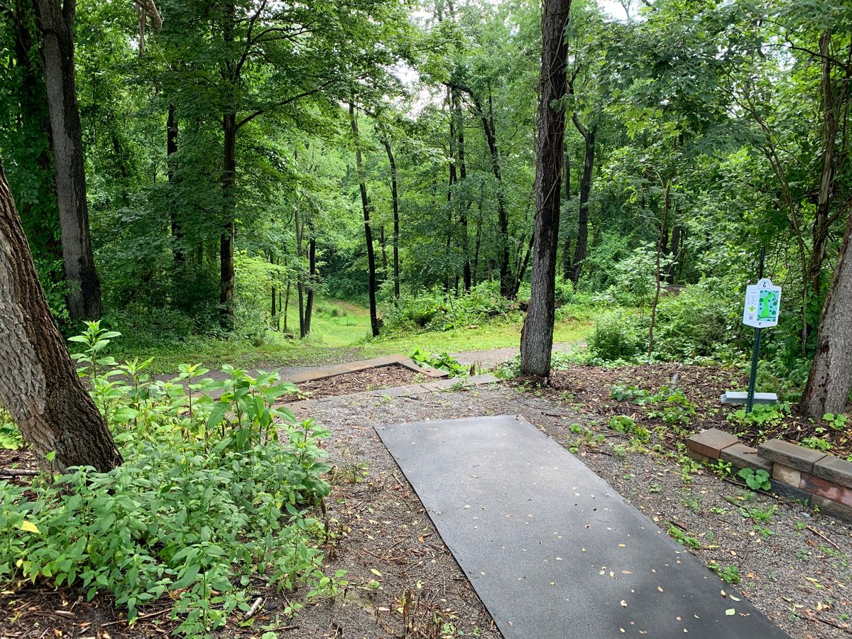 Hole 6 White (Long) tee