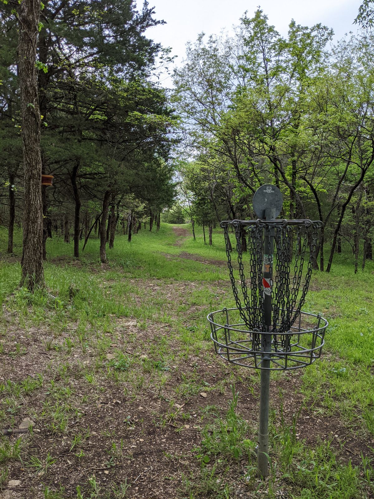 Basket to tee 6
