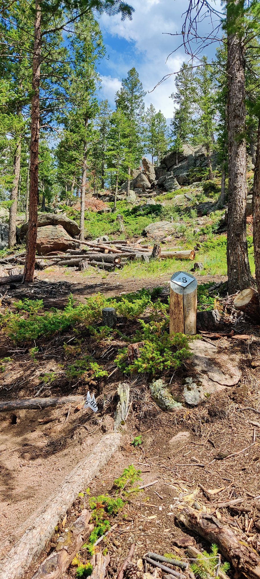 Hole 8 - basket is straight down the middle, on top of the rocks
