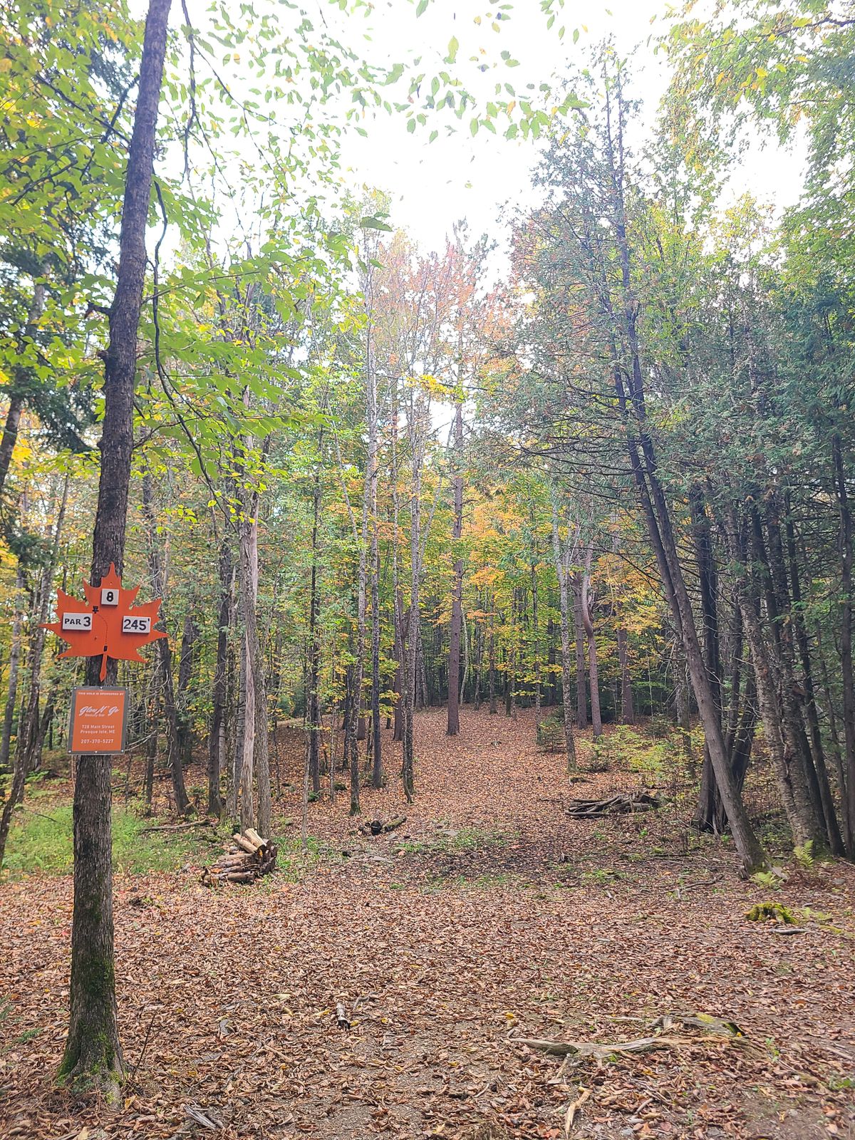 Hole 8