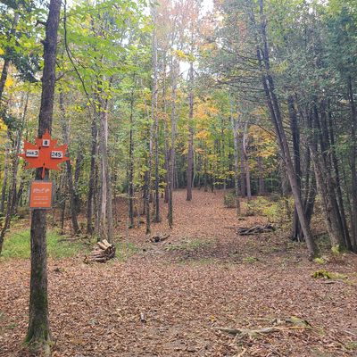 Hole 8