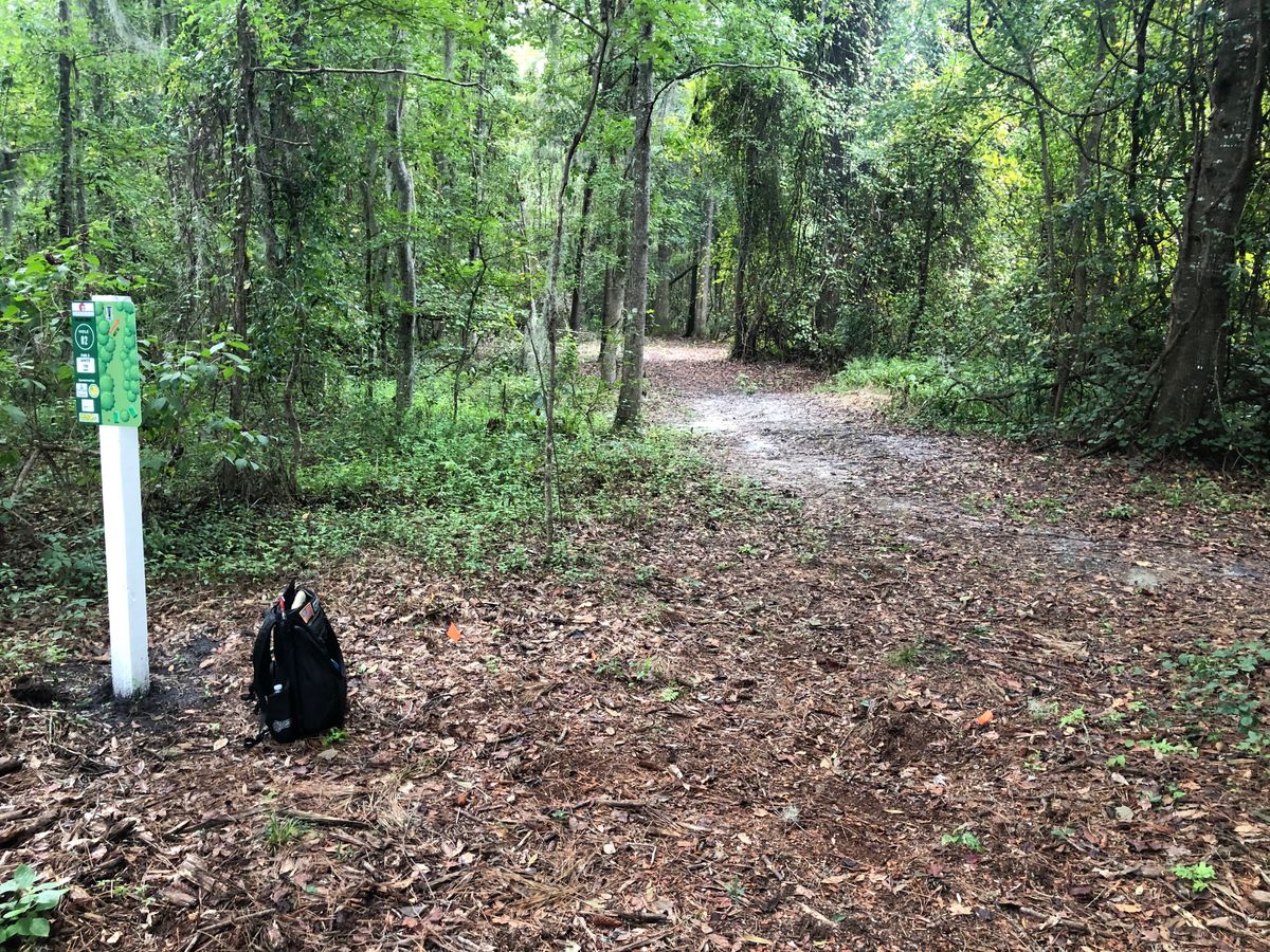 Hole 2 bends to the right and back to left