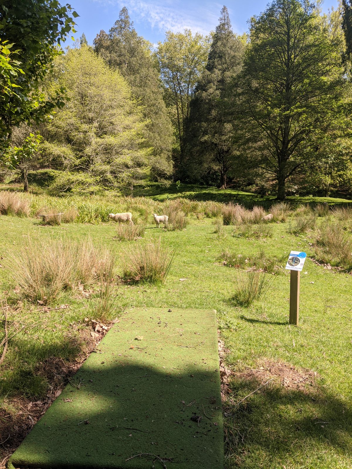 Hole 6