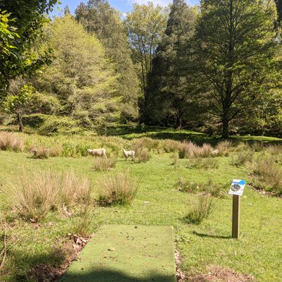 Hole 6