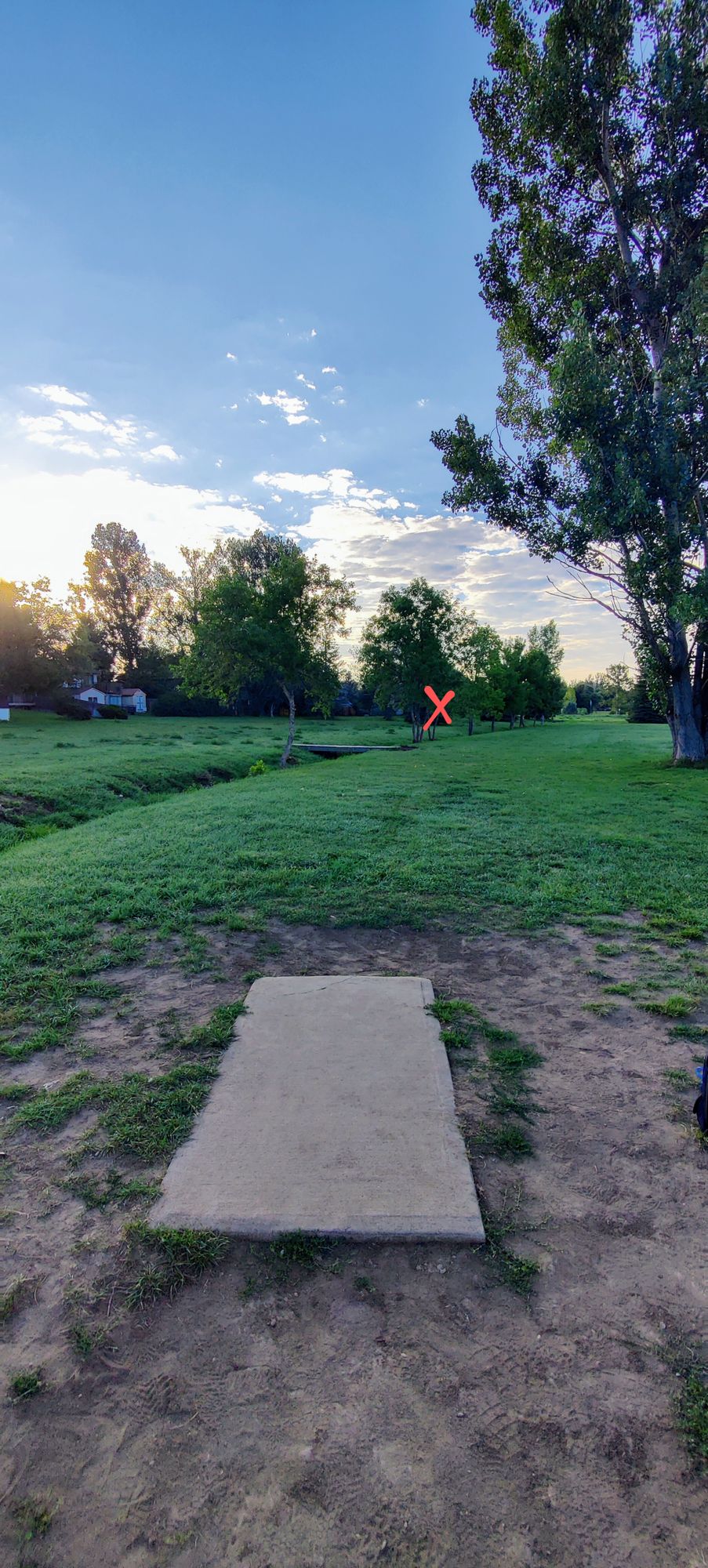 Tee 5 - basket is across the ditch, behind the tall pine tree