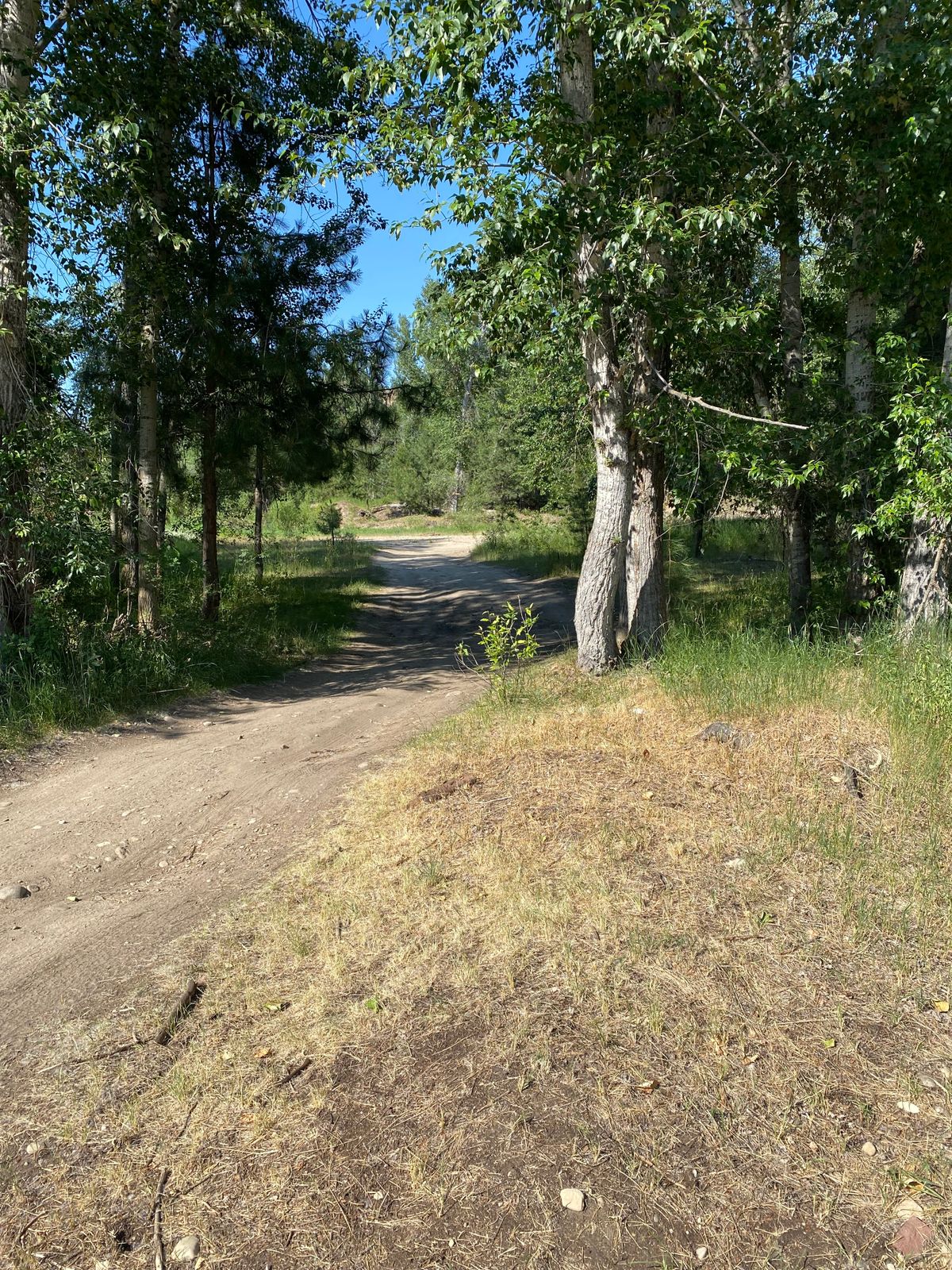 Hole 3 straight through