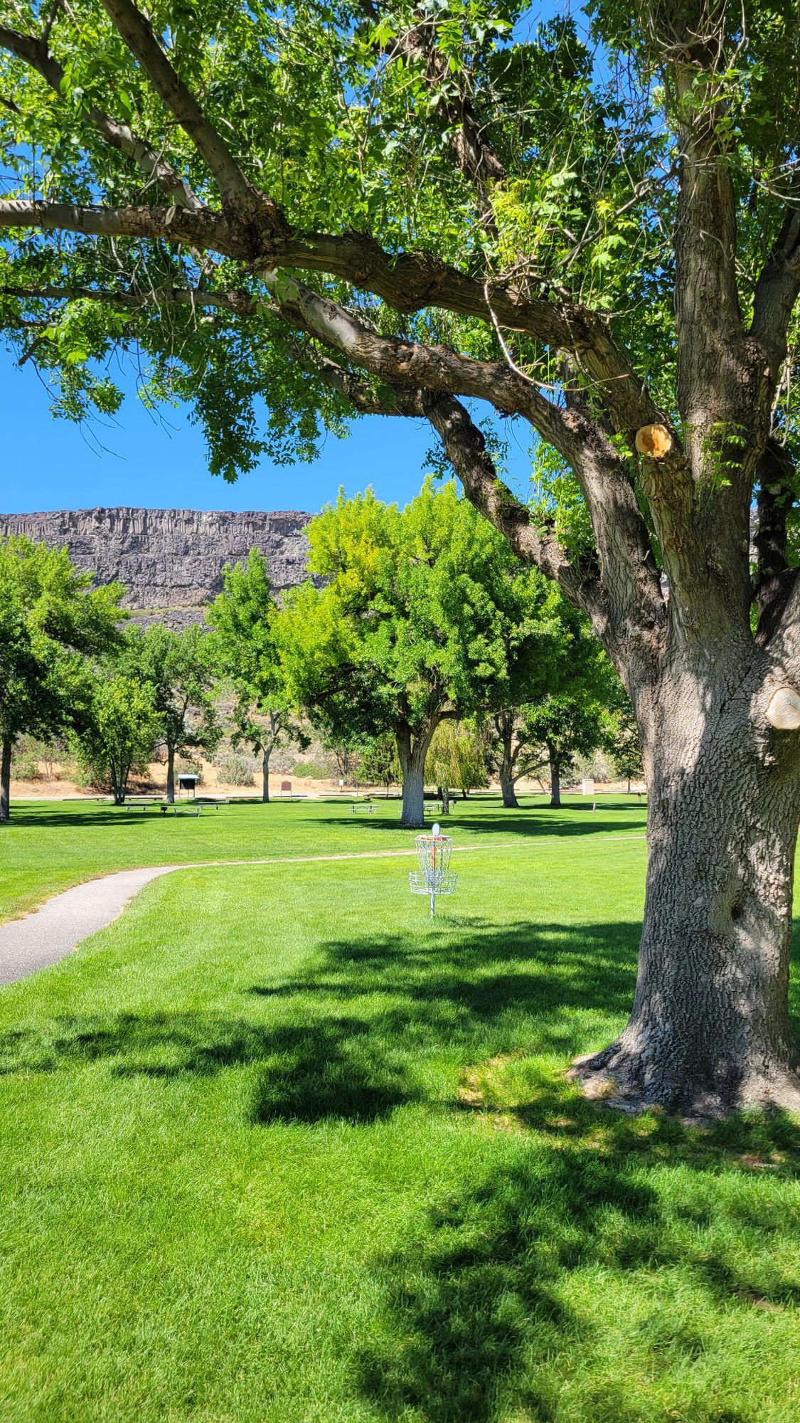 Hole 2 basket