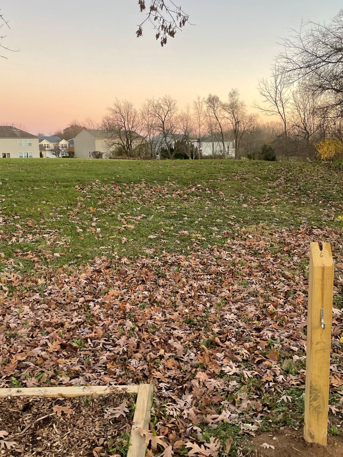 Hole 6– basket in trees/brush line